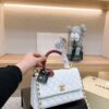 Stylish Fashion Carry Bag C3778