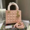 New Collection Fashion Bag D3004