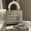 New Collection Fashion Bag D3004