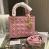 New Collection Fashion Bag D3004
