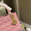 New Collection Fashion Bag D3004