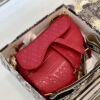 New Collection Fashion Bag D3005