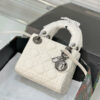 New Collection Fashion Bag D3024