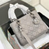 New Collection Fashion Bag D3024