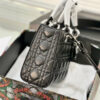 New Collection Fashion Bag D3024
