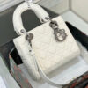 New Collection Fashion Bag D3024