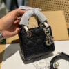 New Collection Fashion Bag D3025