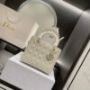 New Collection Fashion Bag D3055