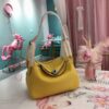 New Collection Fashion Bag H009