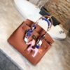 New Collection Fashion Bag H001