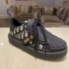 New Collection Fashion Women Dior Shoes 017 New Collection Fashion Women Dior Shoes 017