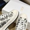 New Collection Fashion Women Dior Shoes 047 New Collection Fashion Women Dior Shoes 047