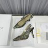New Collection Fashion Women Dior Shoes 043 New Collection Fashion Women Dior Shoes 043