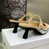 New Collection Fashion Women Dior Shoes 040 New Collection Fashion Women Dior Shoes 040