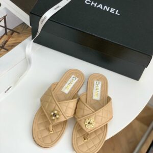 beige chính result