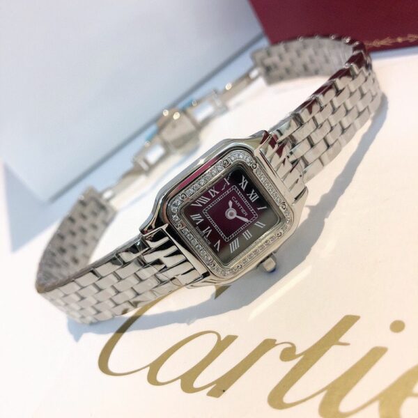 New Fashion Watch C3029.1
