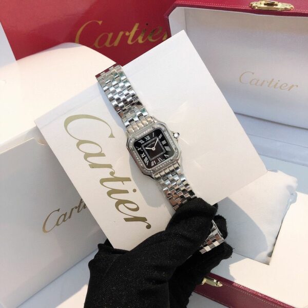 New Fashion Watch C3029.1