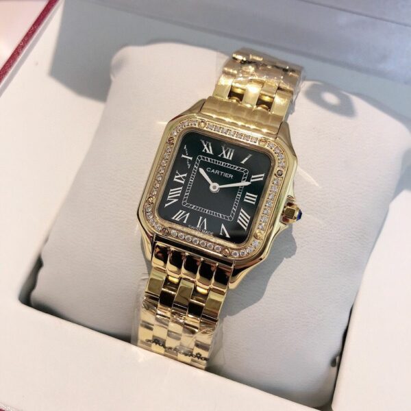 New Fashion Watch C3029