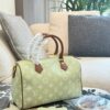 Stylish Fashion Carry LV Handbag L2048