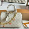 Stylish Fashion Carry LV Handbag L2072