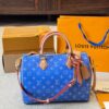 Stylish Fashion Carry LV Handbag L2090