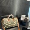 Stylish Fashion Carry LV Handbag L2092