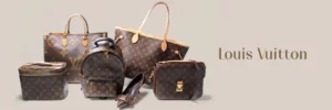 Louis Vuitton Handbag