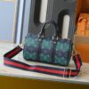 Chic Charm LV Handbag M25855-M46271 Chic Charm LV Handbag M25855-M46271