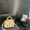 Stylish Fashion Carry LV Handbag L2109.1