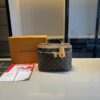 Stylish Fashion Carry LV Handbag L2111