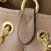 Chic Charm LV Handbag M11283