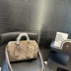 Stylish Fashion Carry LV Handbag L2130