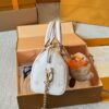 Stylish Fashion Carry LV Handbag L1861