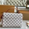 Stylish Fashion Carry Bag L5089