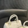 Stylish Fashion Carry LV Handbag L1824