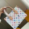 Stylish Fashion Carry Bag L5084