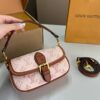 Stylish Fashion Carry Bag L5068