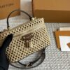 Stylish Fashion Carry Bag L5067