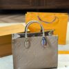 Stylish Fashion Carry Bag L5061
