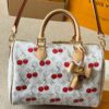 Stylish Fashion Carry Bag L5060
