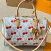 Stylish Fashion Carry Bag L5060