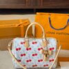Stylish Fashion Carry Bag L5060