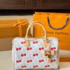 Stylish Fashion Carry Bag L5060