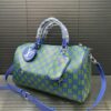 Stylish Fashion Carry LV Handbag L1769 Stylish Fashion Carry LV Handbag L1769