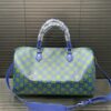 Stylish Fashion Carry LV Handbag L1769 Stylish Fashion Carry LV Handbag L1769