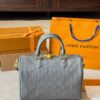 Stylish Fashion Carry LV Handbag L1751 Stylish Fashion Carry LV Handbag L1751
