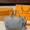 Stylish Fashion Carry LV Handbag L1751 Stylish Fashion Carry LV Handbag L1751