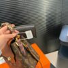 Stylish Fashion Carry LV Handbag L1749