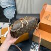 Stylish Fashion Carry LV Handbag L1741