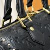 Chic Charm LV Handbag M20392